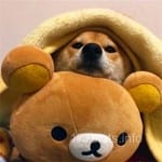 Avatar of Rizwan Qamar